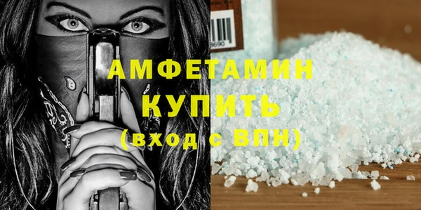 амф Новозыбков