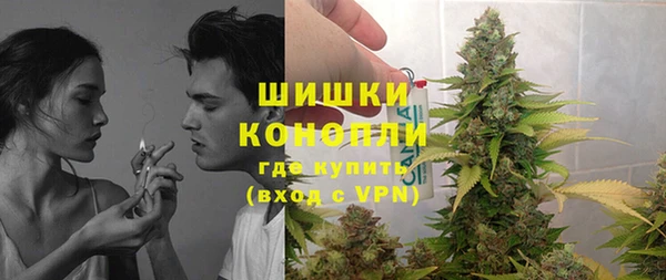 дживик Новодвинск