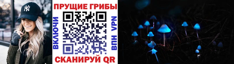 купить наркоту  Канск  Галлюциногенные грибы MAGIC MUSHROOMS 