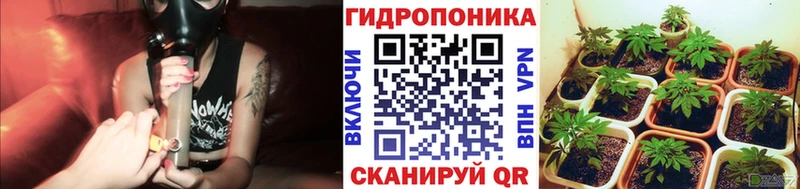 закладки Канск МАРИХУАНА VHQ
